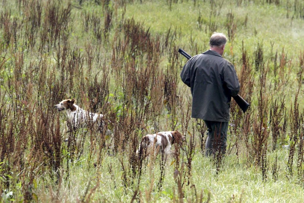 Jagt i Hadsten & Omegns Jagtforening
