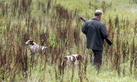 Jagt i Hadsten & Omegns Jagtforening